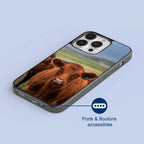 Coque - Limousine