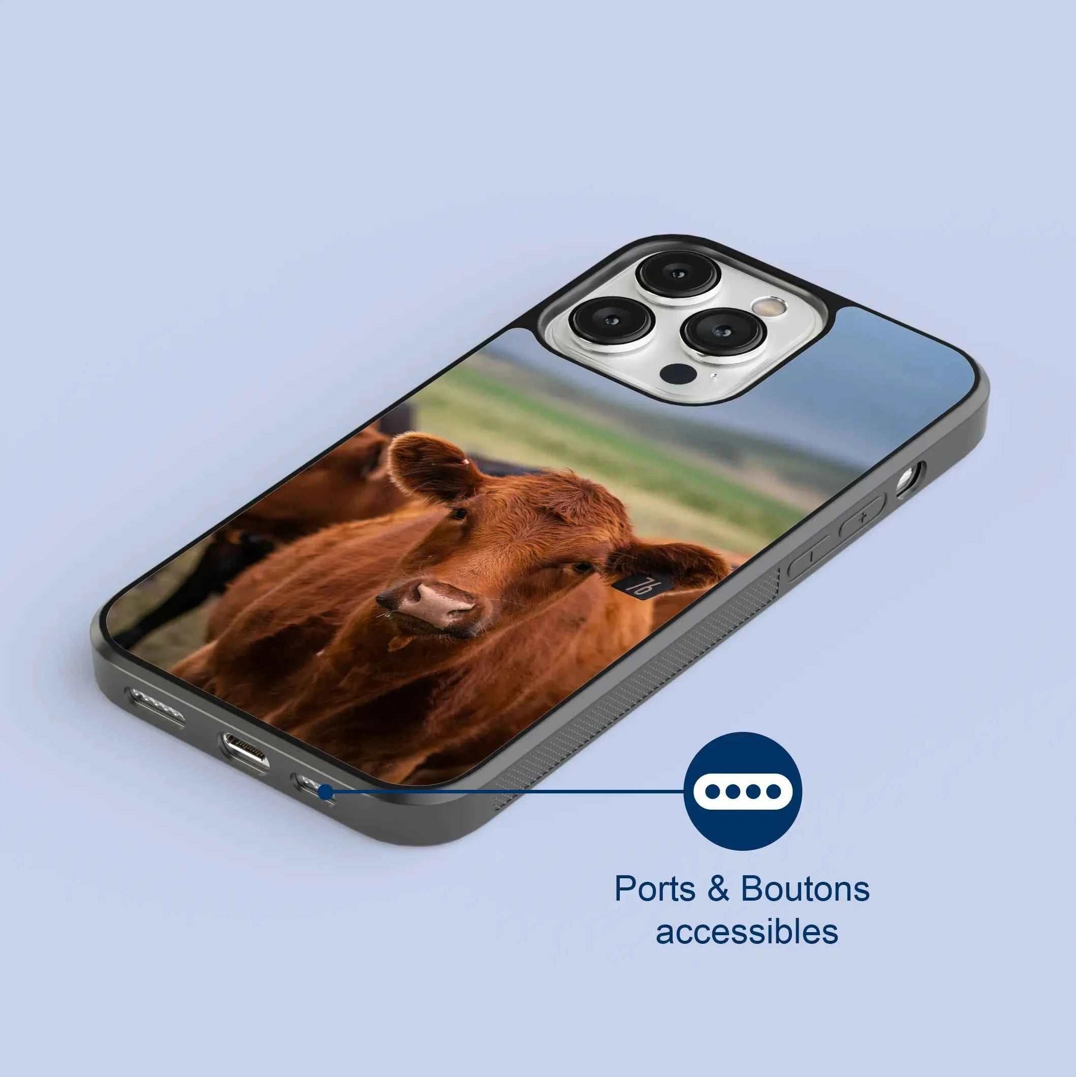 Coque - Limousine