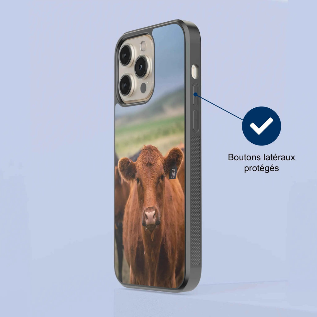 Coque - Limousine