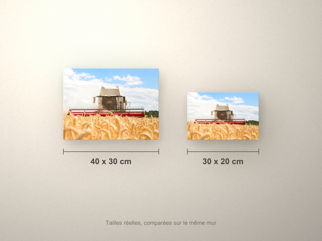 Poster métallique moissonneuse dans le blé — formats 40x30 et 30x20 cm comparés