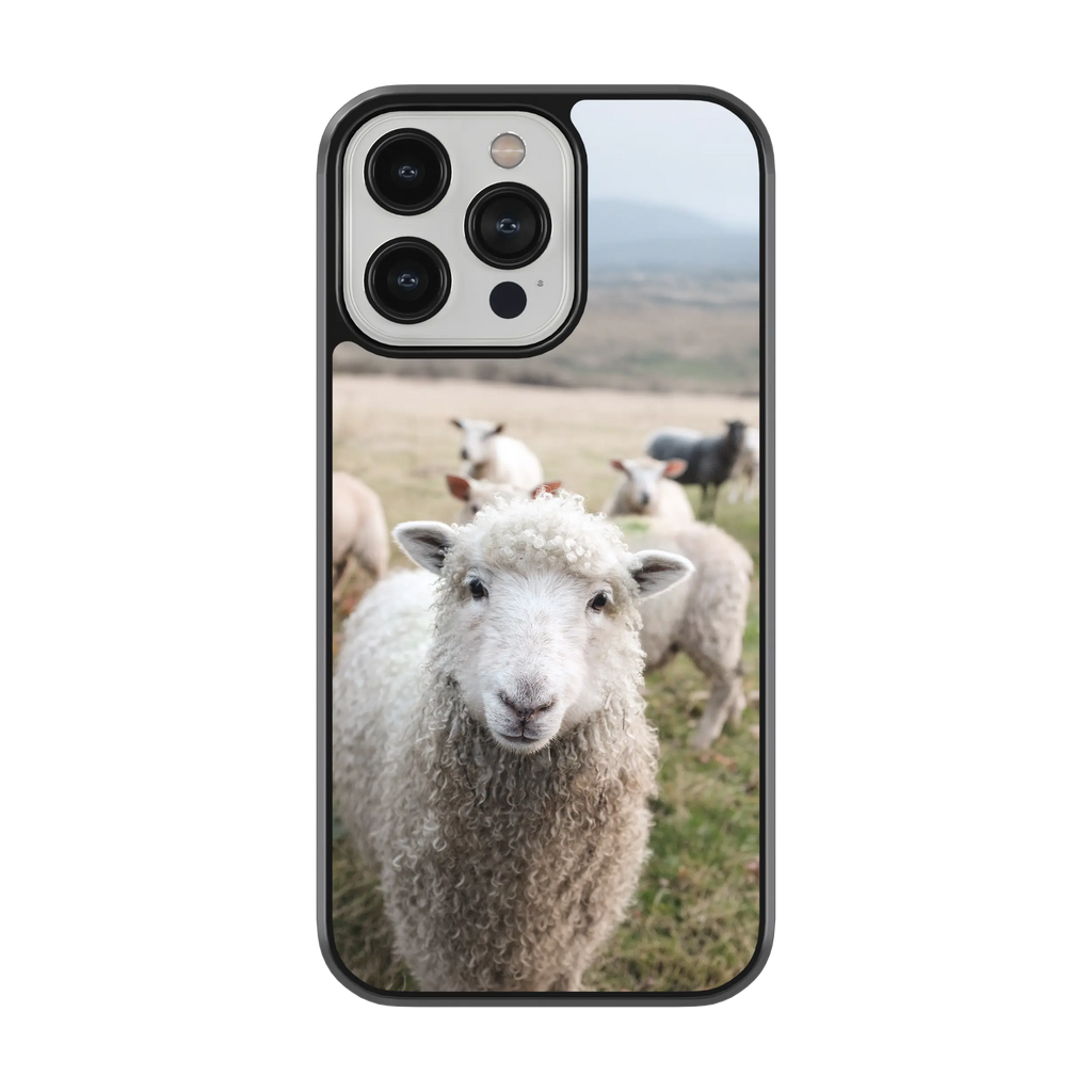 Coque - Mouton