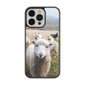 Coque - Mouton
