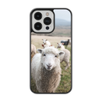 Coque - Mouton