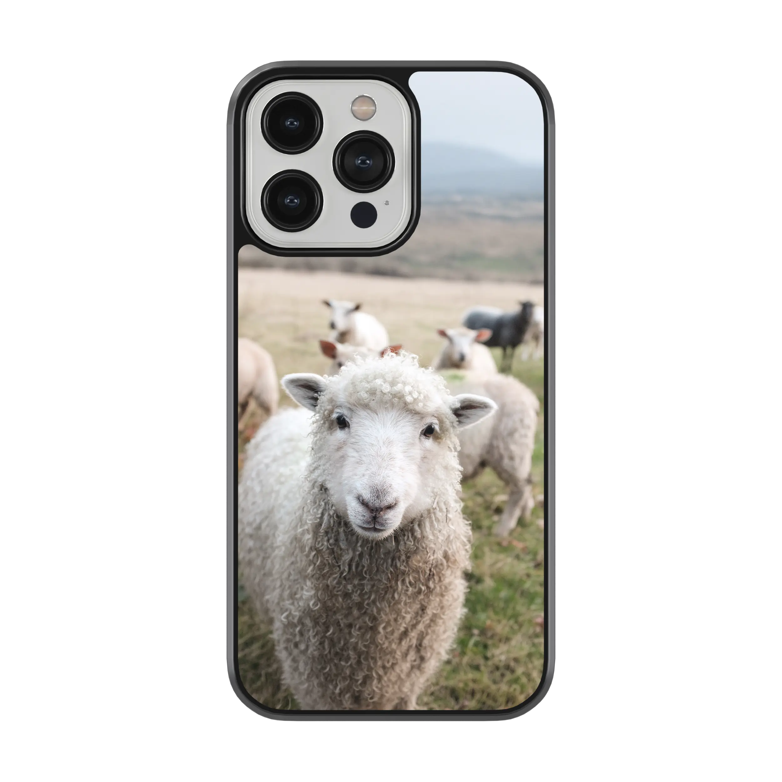 Coque - Mouton