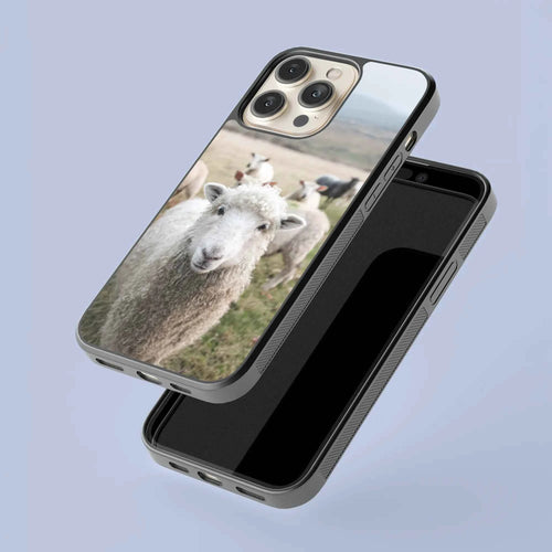 Coque - Mouton