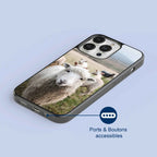 Coque - Mouton