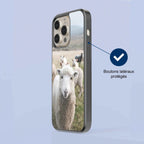 Coque - Mouton