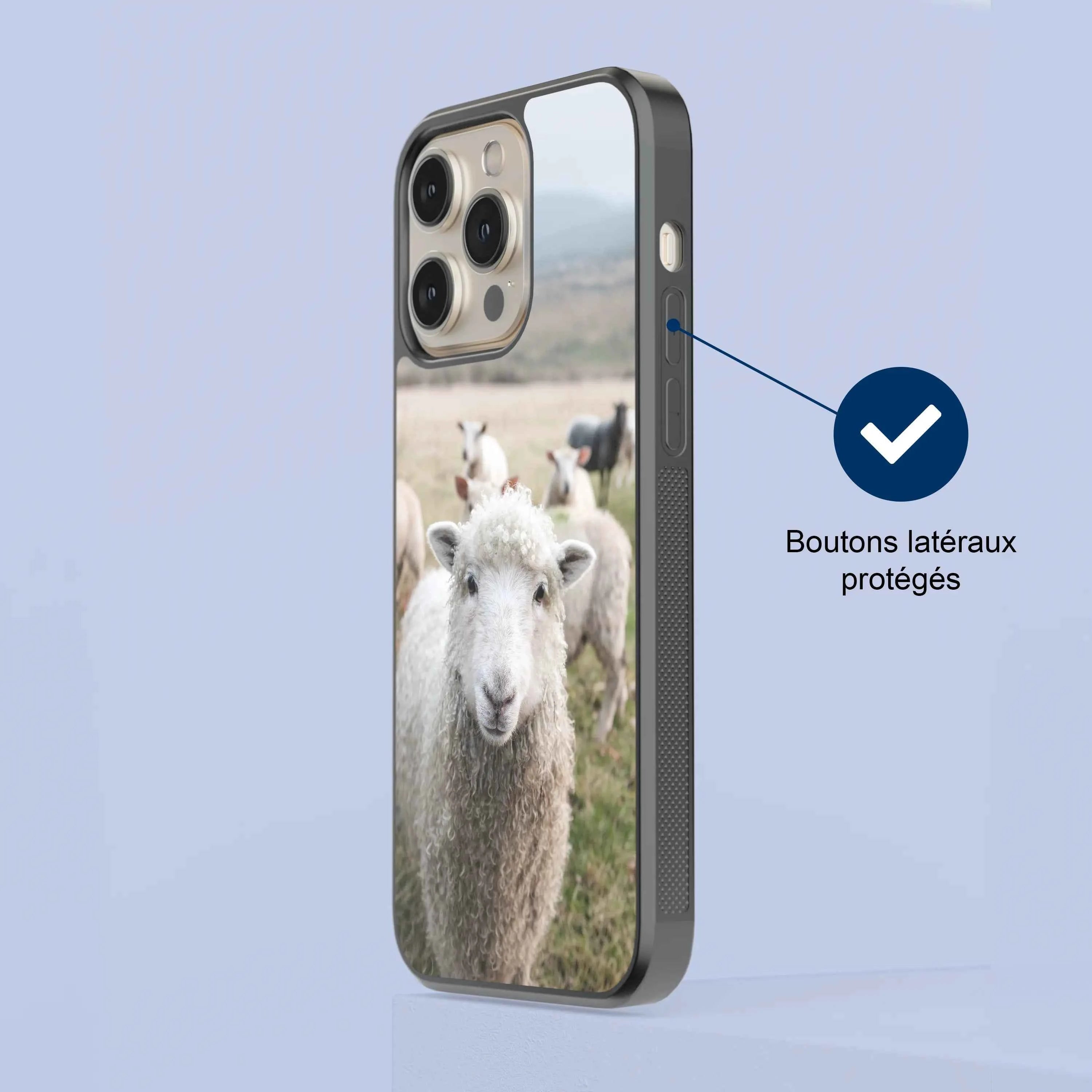 Coque - Mouton