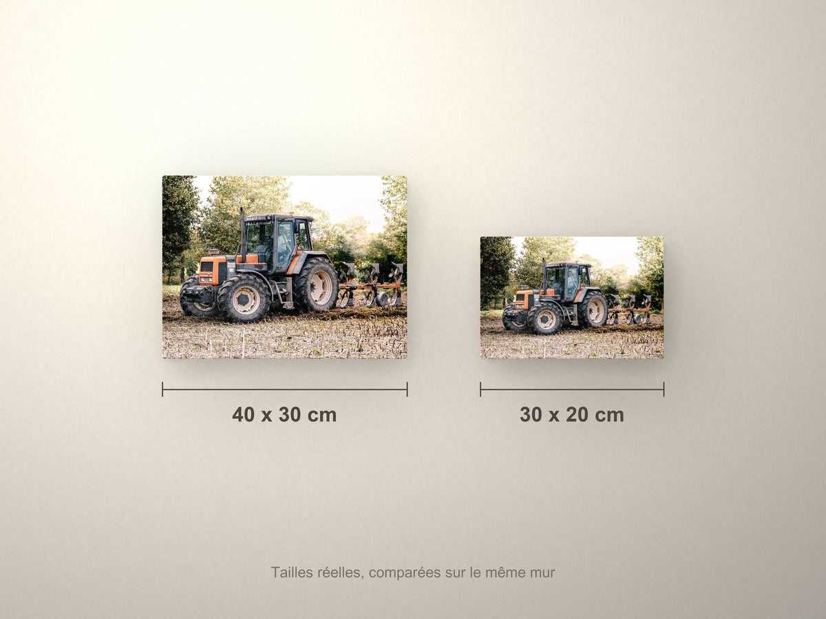 Poster métallique Renault 133.54 — formats comparés en centimètres