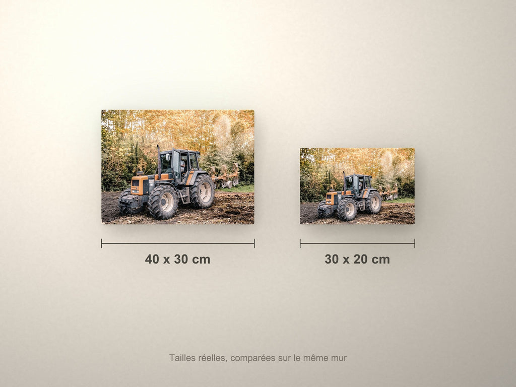 Poster métallique Renault — formats comparés en centimètres