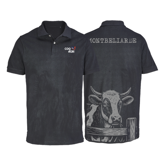 Polo Montbéliarde