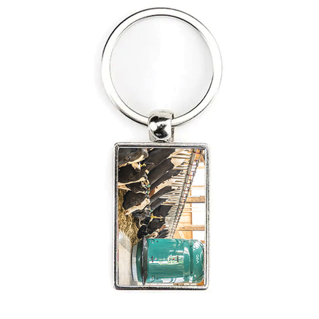 GEA France key ring