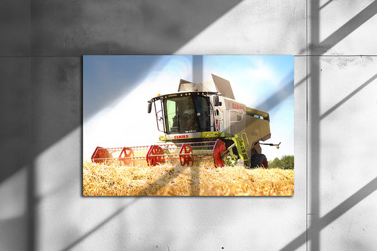 Poster métallique / Wypix