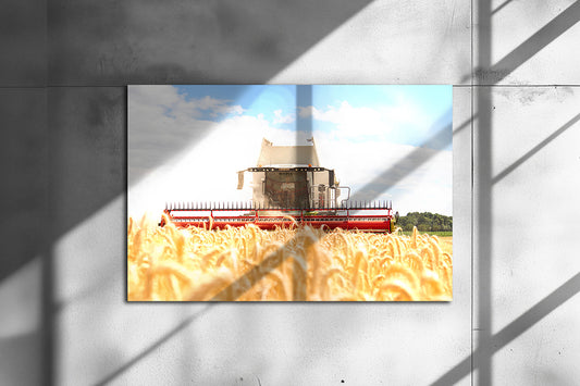 Poster métallique / Wypix