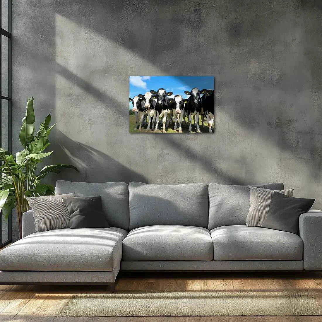 Poster métallique - Vaches Prim'Holstein