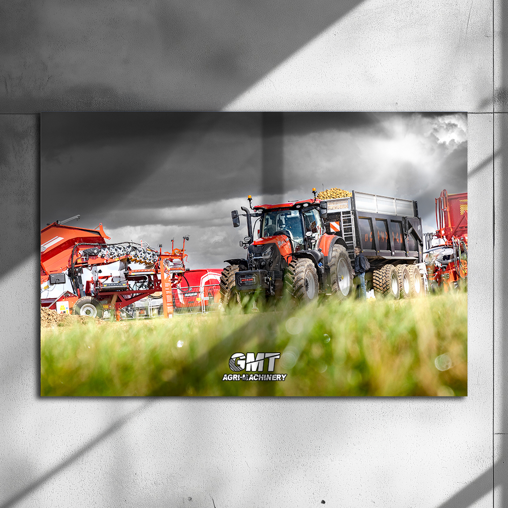 Poster métallique Gmt 9 - COQ AGRI