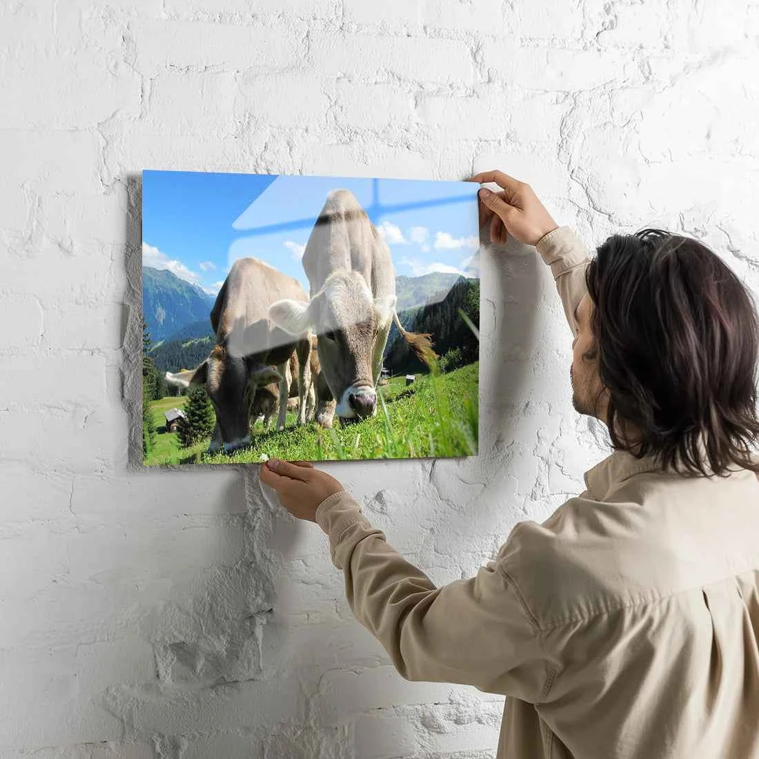 Poster Métallique Vache Brune des Alpes