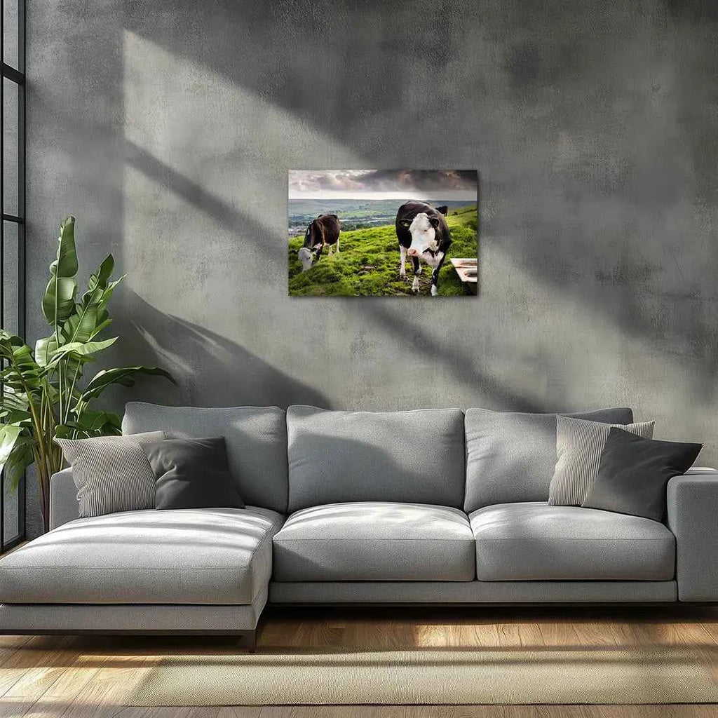 Poster métallique - Vaches Prim'Holstein