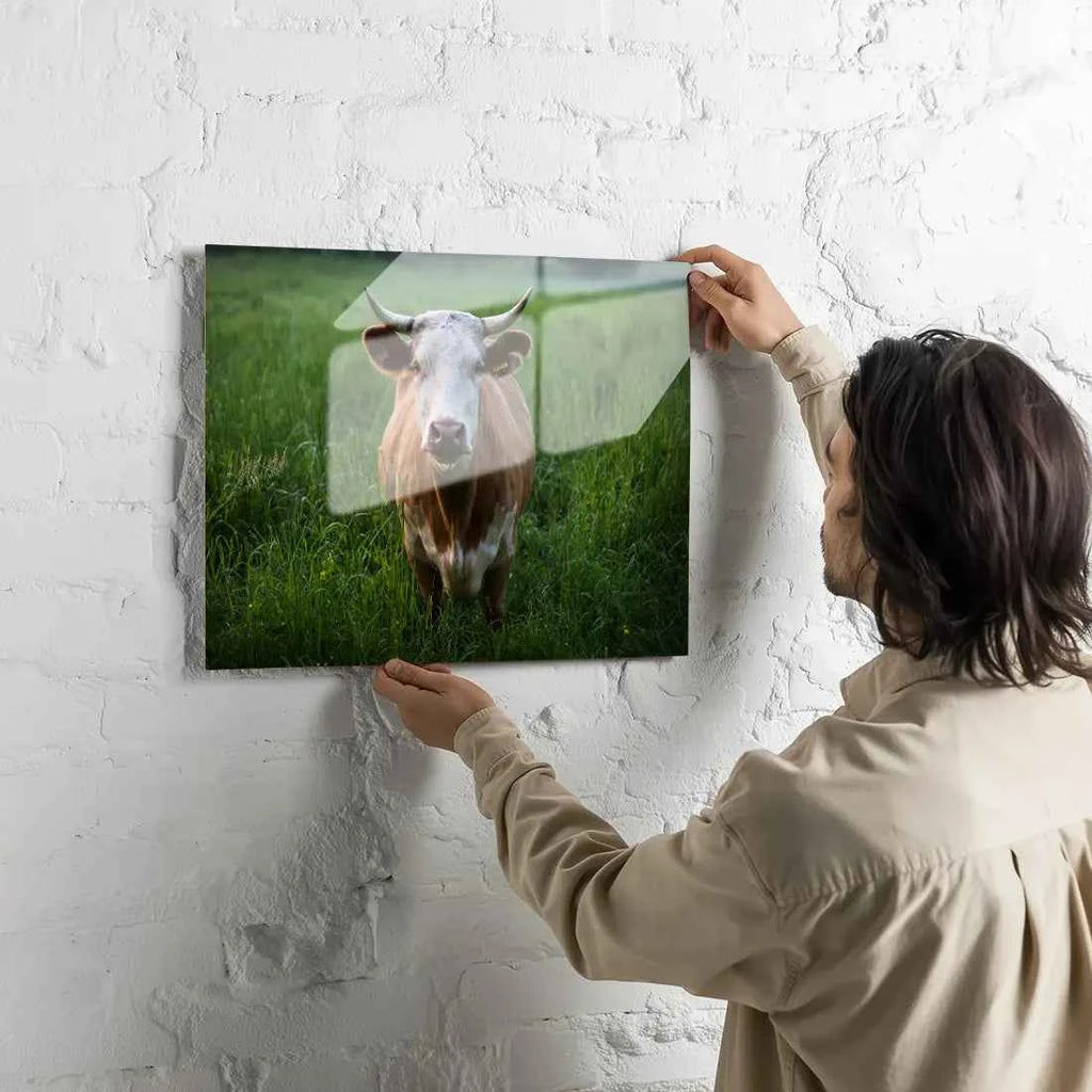 Poster métallique - Vache Simmental