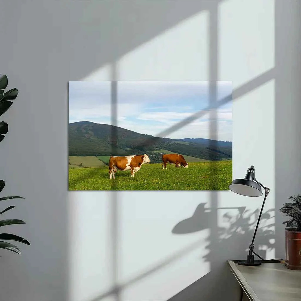 Poster métallique - Vaches Simmental