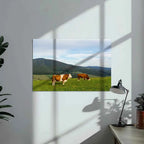 Poster métallique - Vaches Simmental