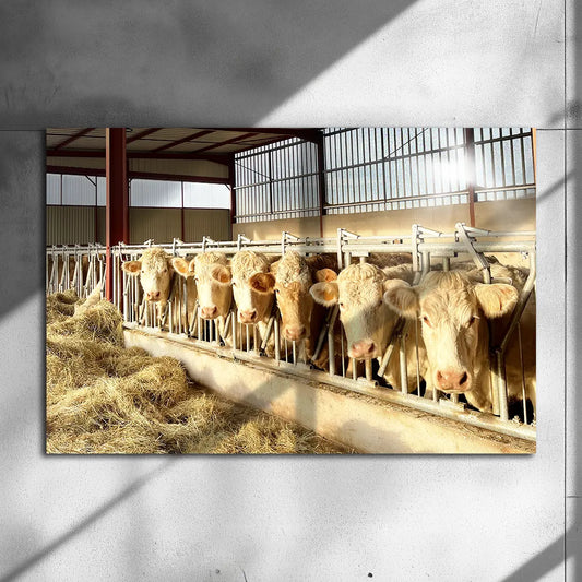 Poster Métallique de @val070911