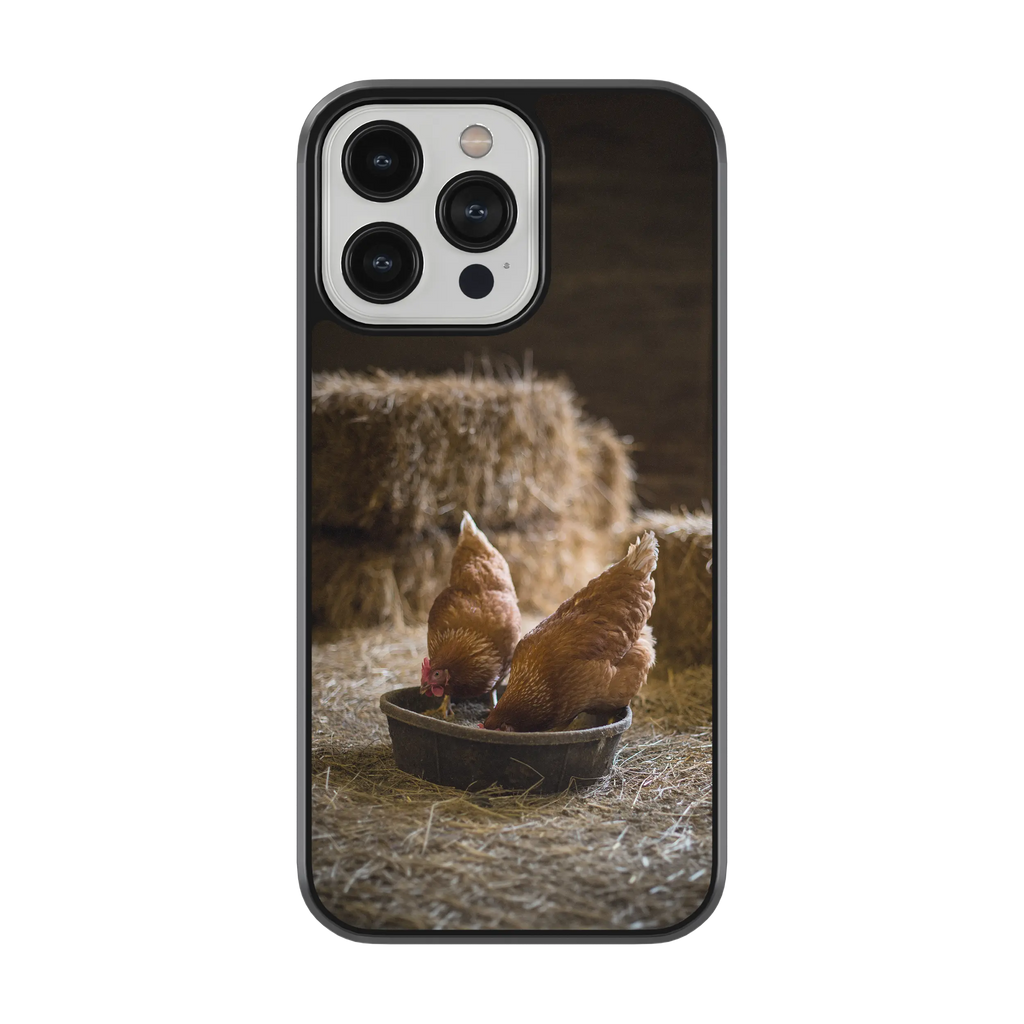 Coque - Poules