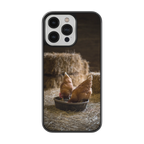 Coque - Poules
