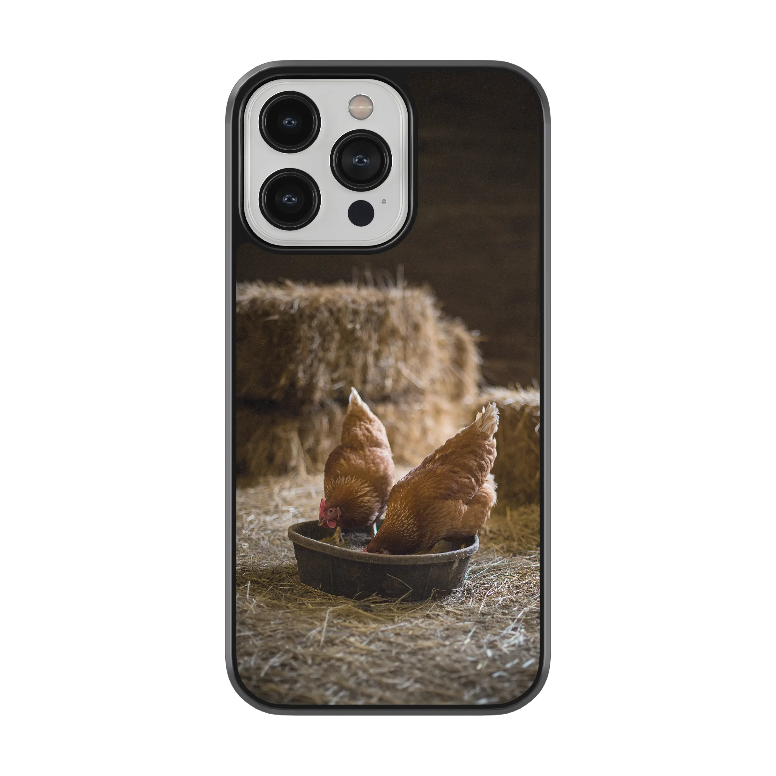 Coque - Poules