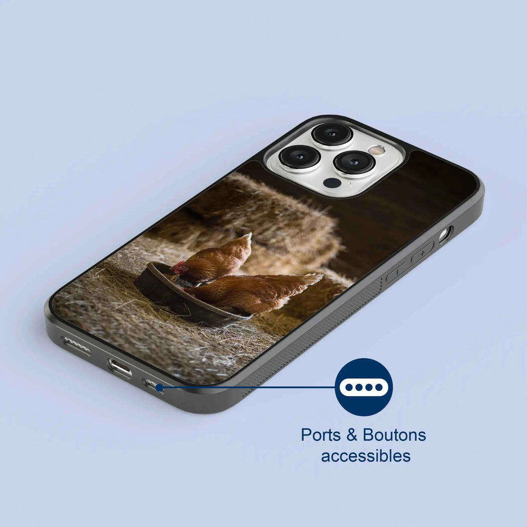 Coque - Poules