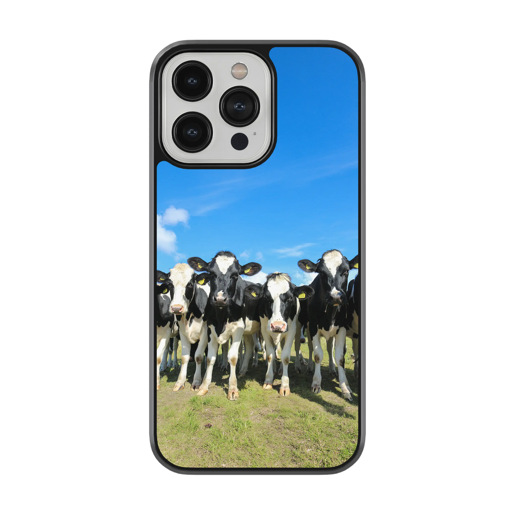 Coque - vaches Prim Holstein