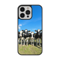 Coque - vaches Prim Holstein