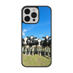Coque - vaches Prim Holstein