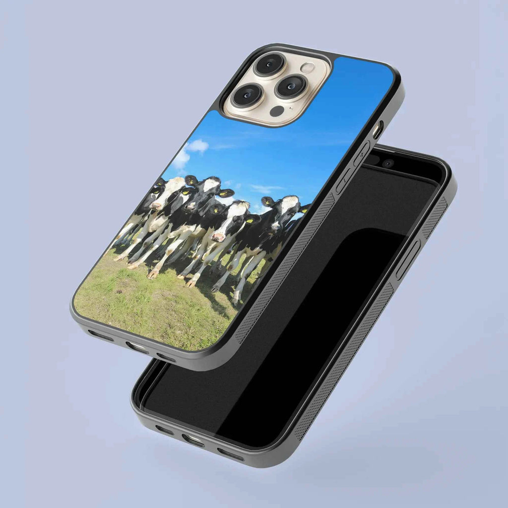 Coque - vaches Prim Holstein