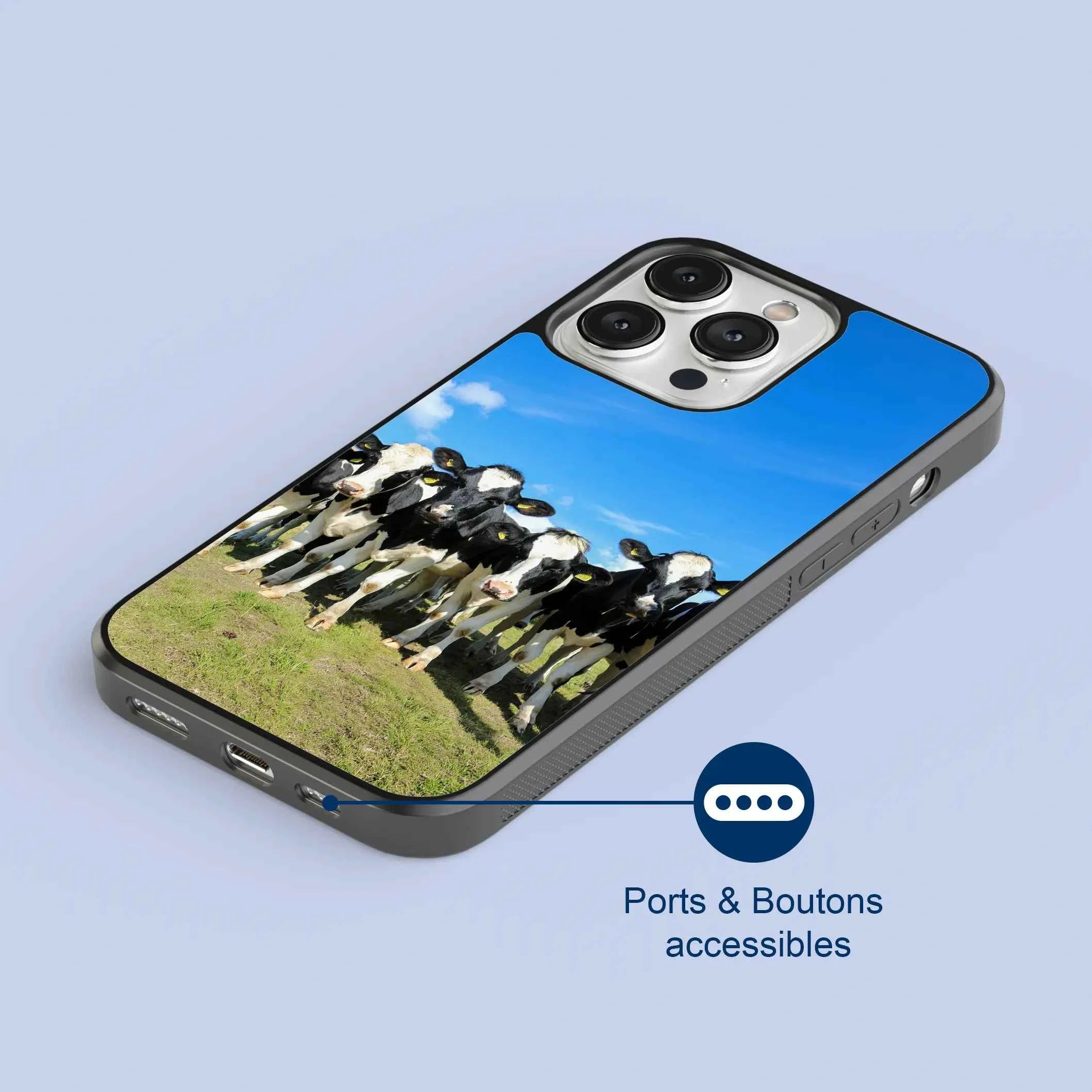 Coque - vaches Prim Holstein