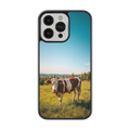 Coque - Vache Simmental