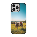 Coque - Vache Simmental