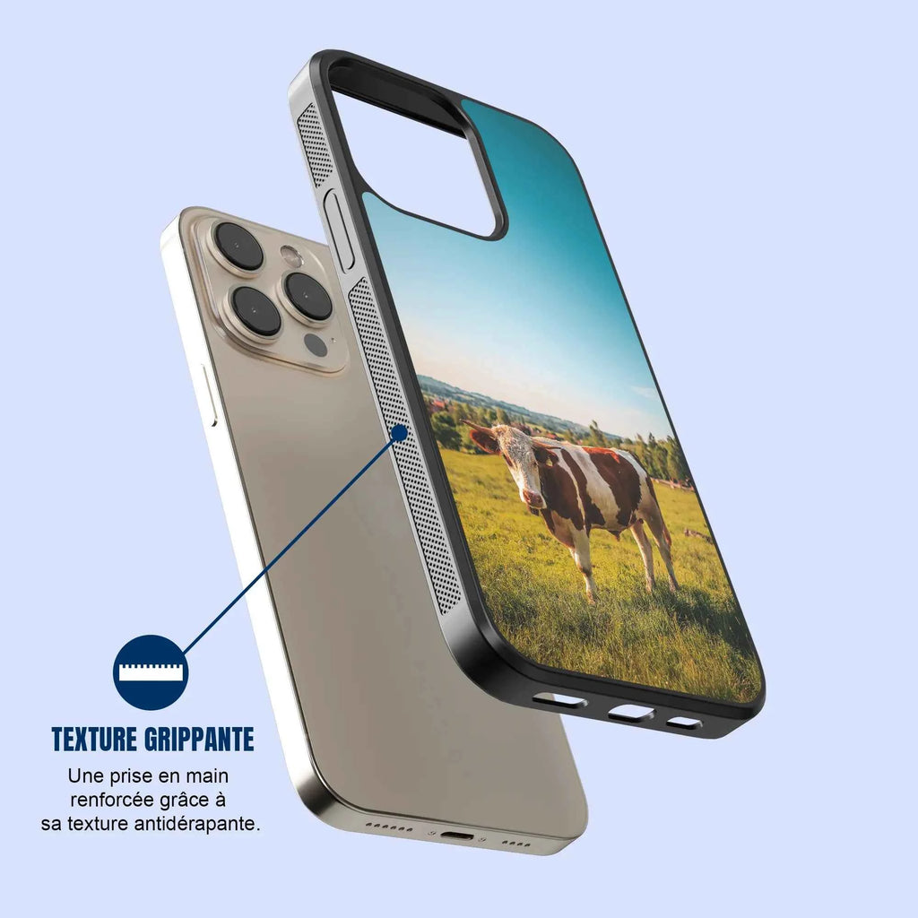 Coque - Vache Simmental