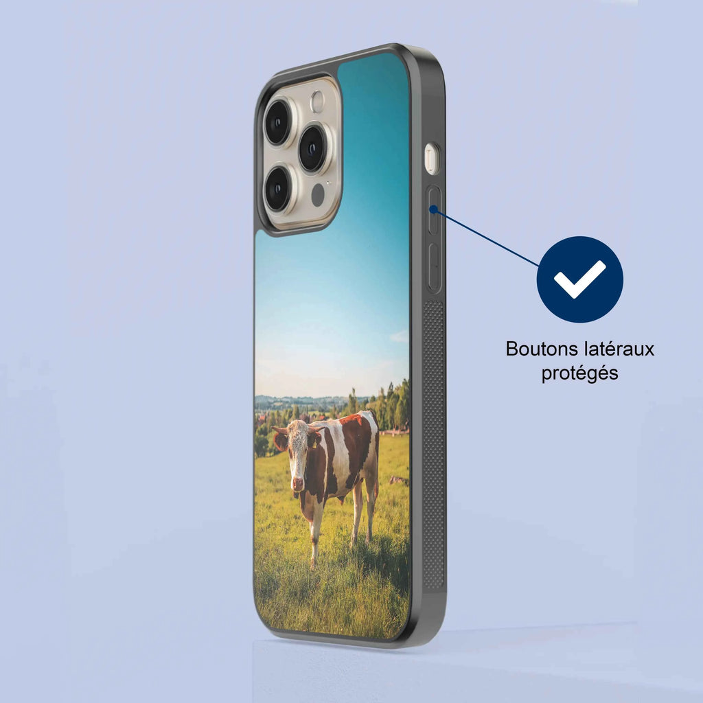 Coque - Vache Simmental