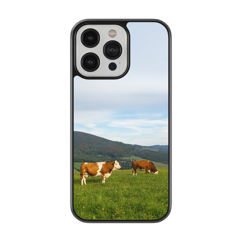 Coque - Vaches Simmental