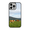 Coque - Vaches Simmental