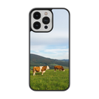 Coque - Vaches Simmental