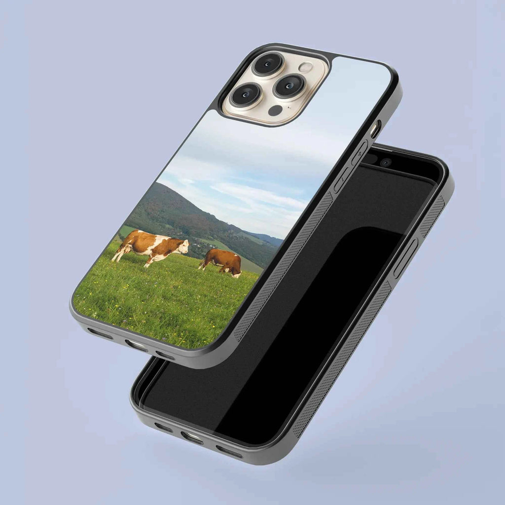 Coque - Vaches Simmental