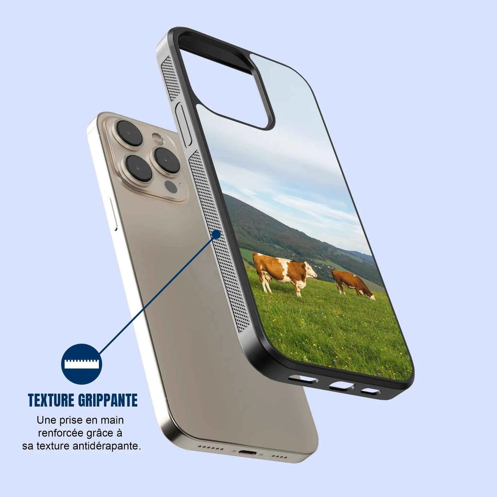 Coque - Vaches Simmental