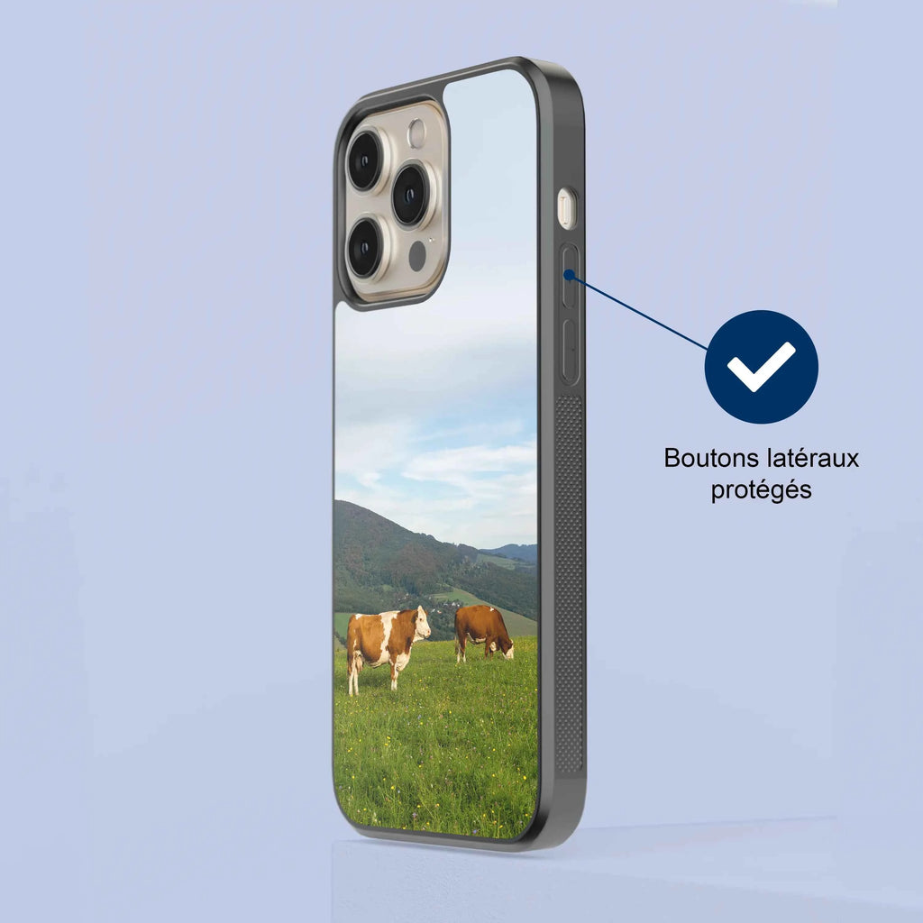 Coque - Vaches Simmental