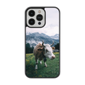 Coque - Simmental