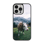 Coque - Simmental