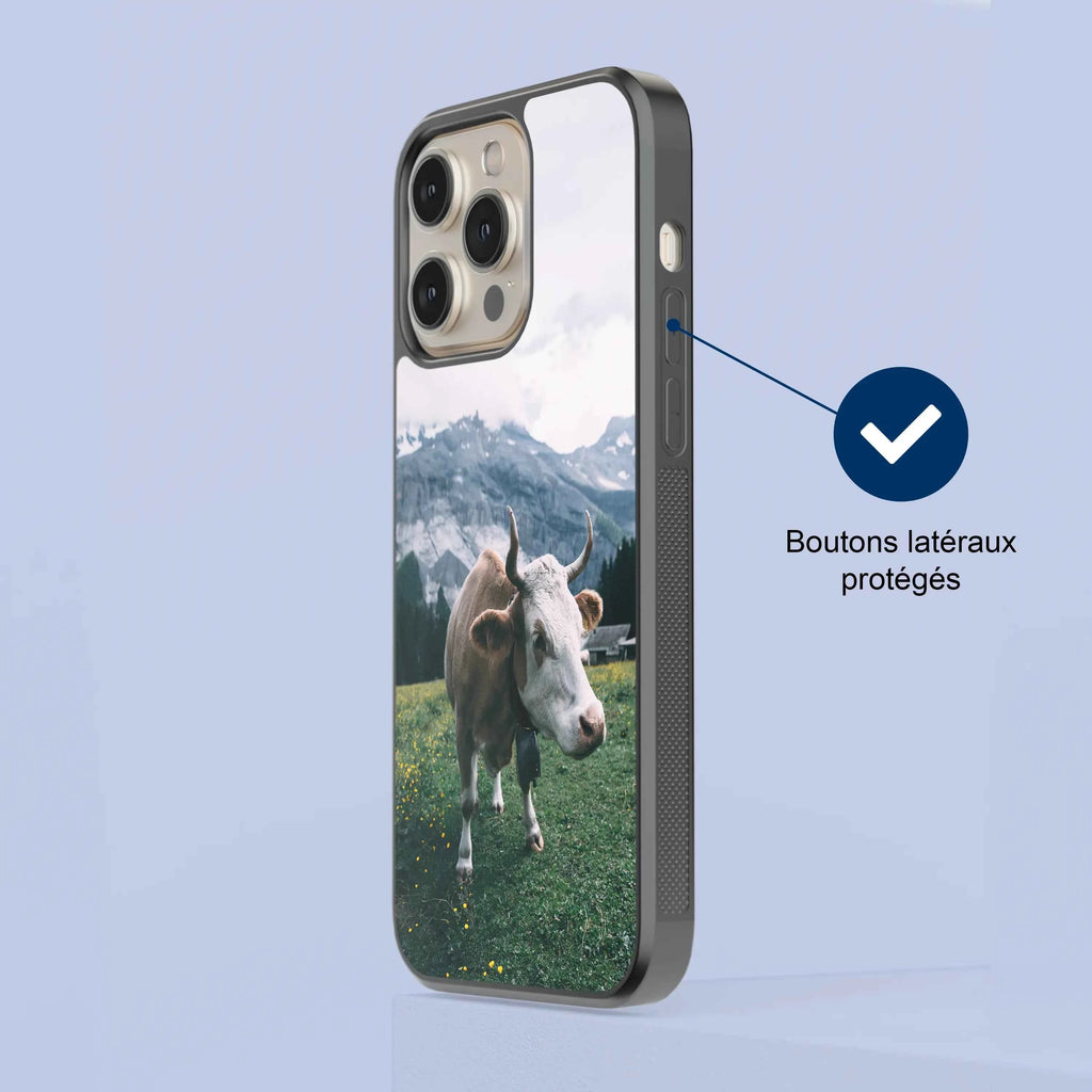 Coque - Simmental