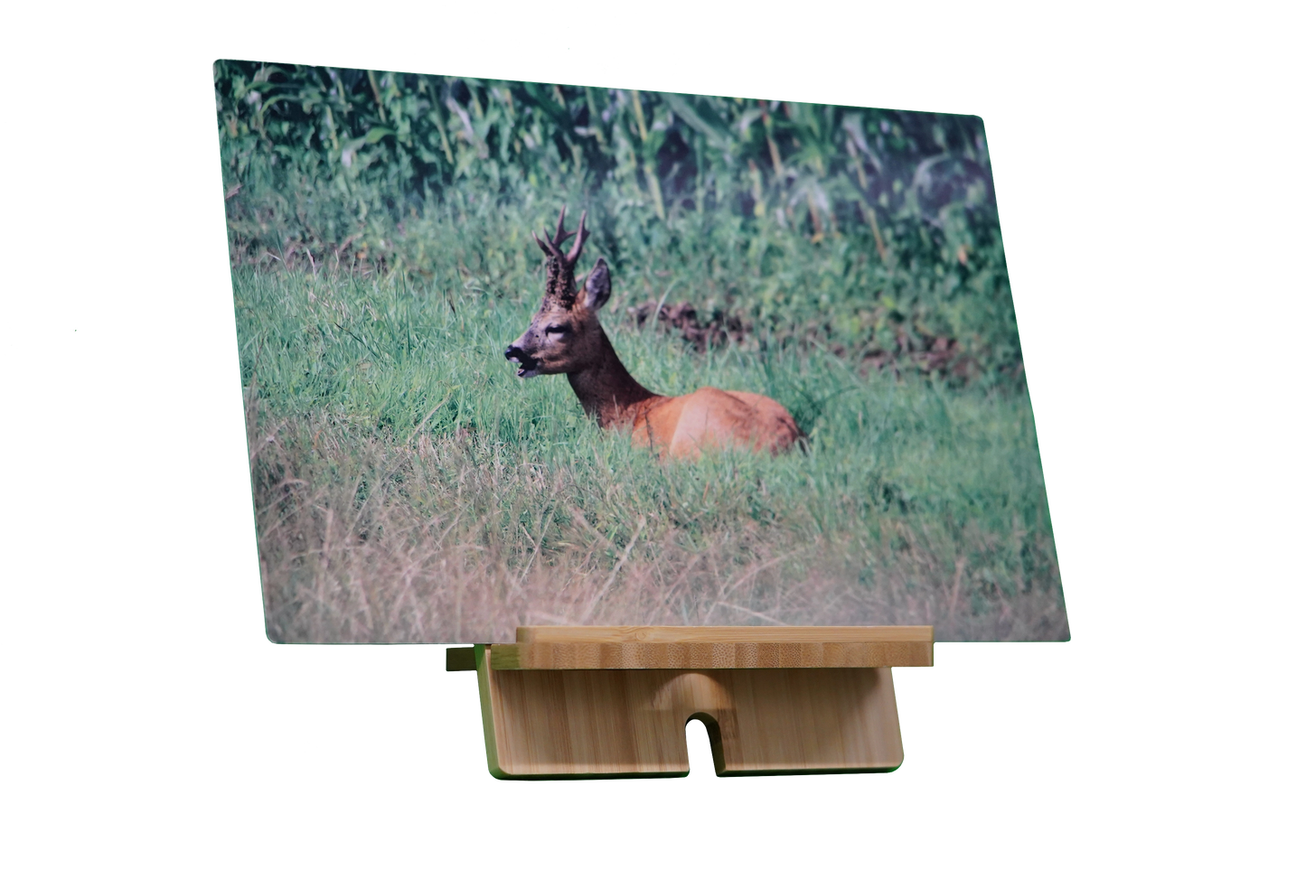 Holzstütze für Metallplakat