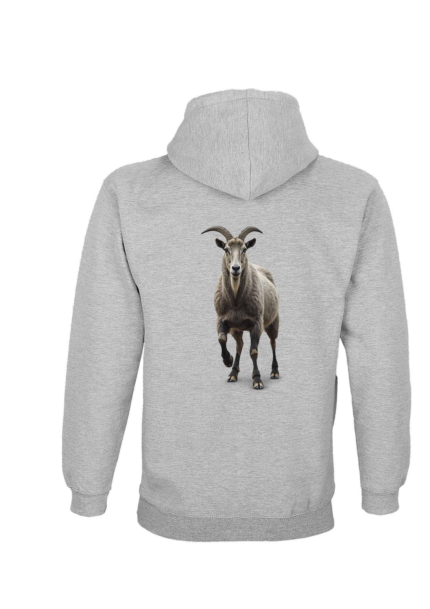 COQAGRI-Sweatshirt 